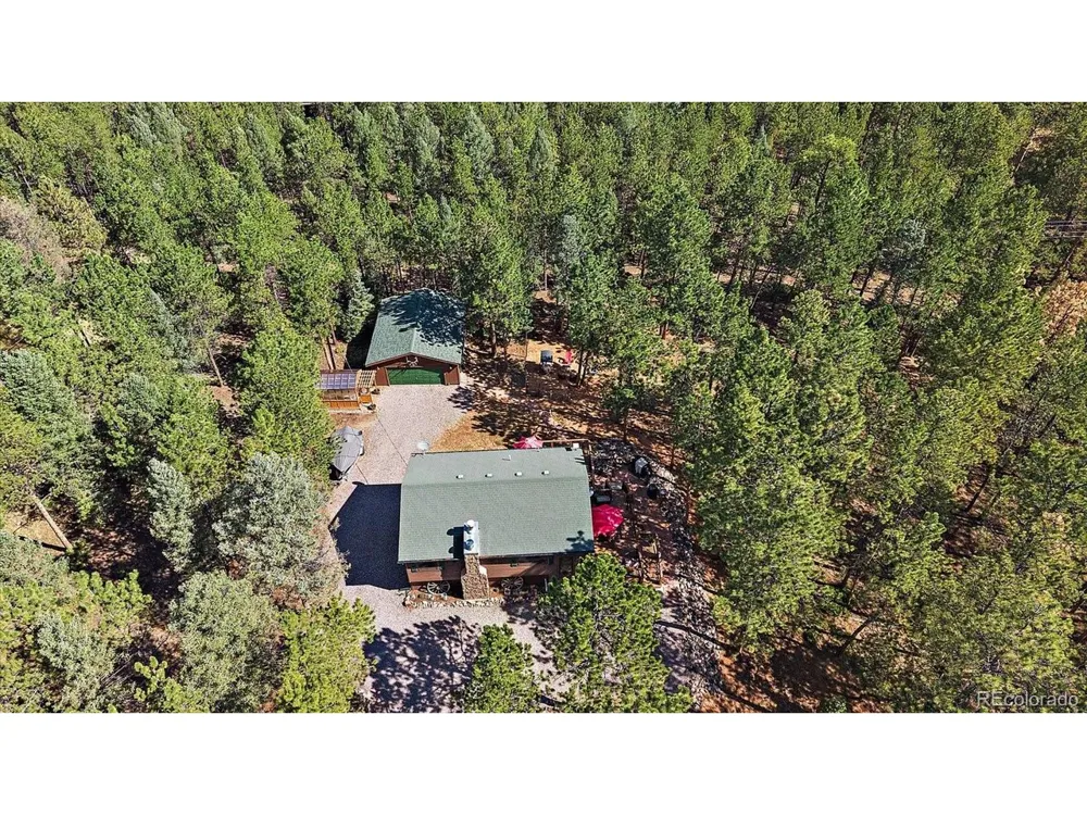 13183 S Piute Drive Pine, CO 80470