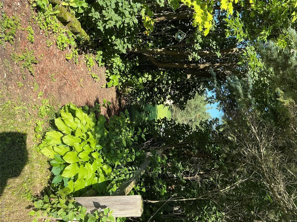 2048 County Road 612 Maple Forest Township, MI 49738