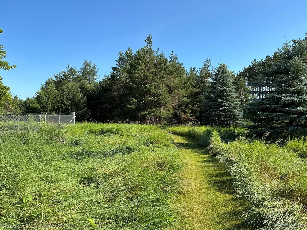 2048 County Road 612 Maple Forest Township, MI 49738
