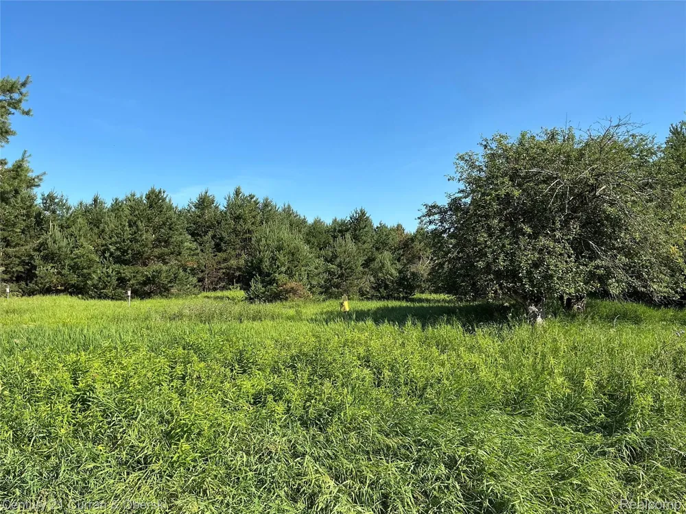 2048 County Road 612 Maple Forest Township, MI 49738