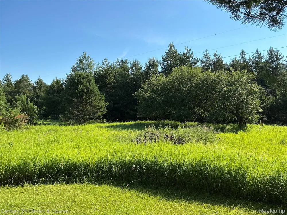 2048 County Road 612 Maple Forest Township, MI 49738