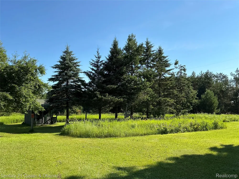2048 County Road 612 Maple Forest Township, MI 49738