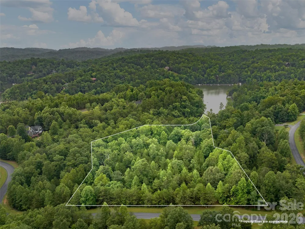 Lot #28 Parkway North Road #28 Mill Spring, NC 28756