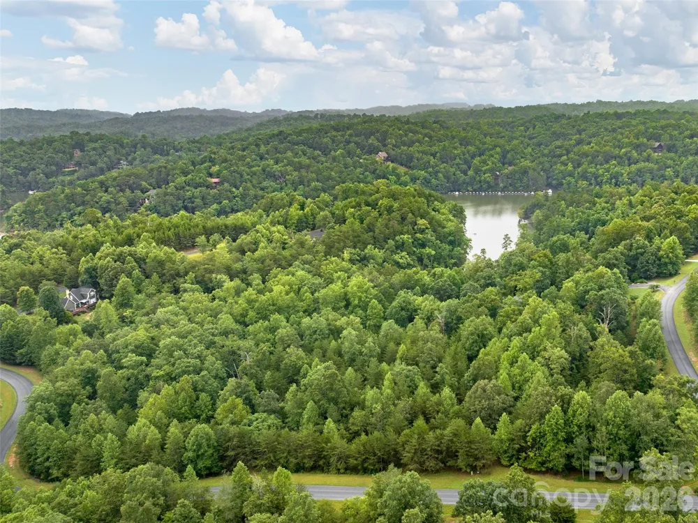 Lot #28 Parkway North Road #28 Mill Spring, NC 28756
