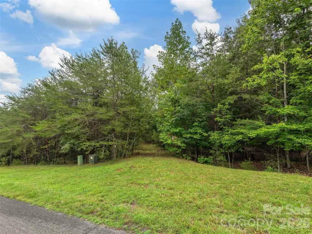 Lot #28 Parkway North Road #28 Mill Spring, NC 28756