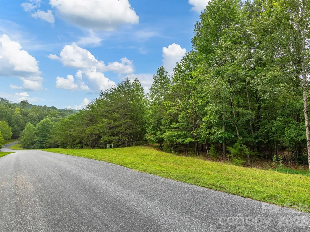 Lot #28 Parkway North Road #28 Mill Spring, NC 28756