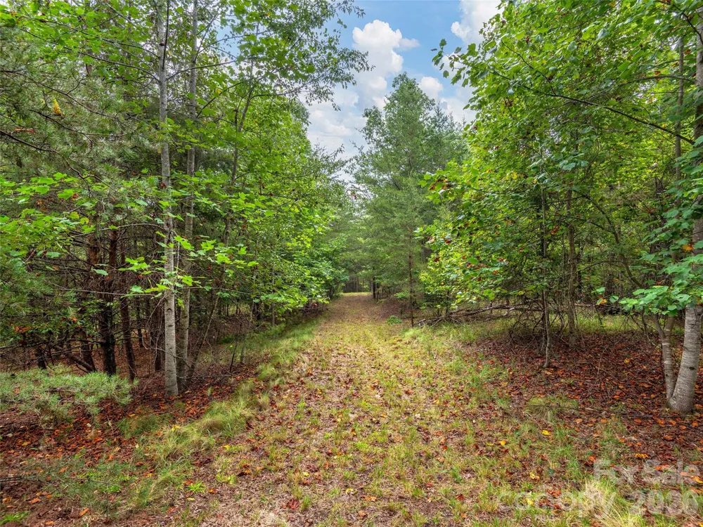Lot #28 Parkway North Road #28 Mill Spring, NC 28756