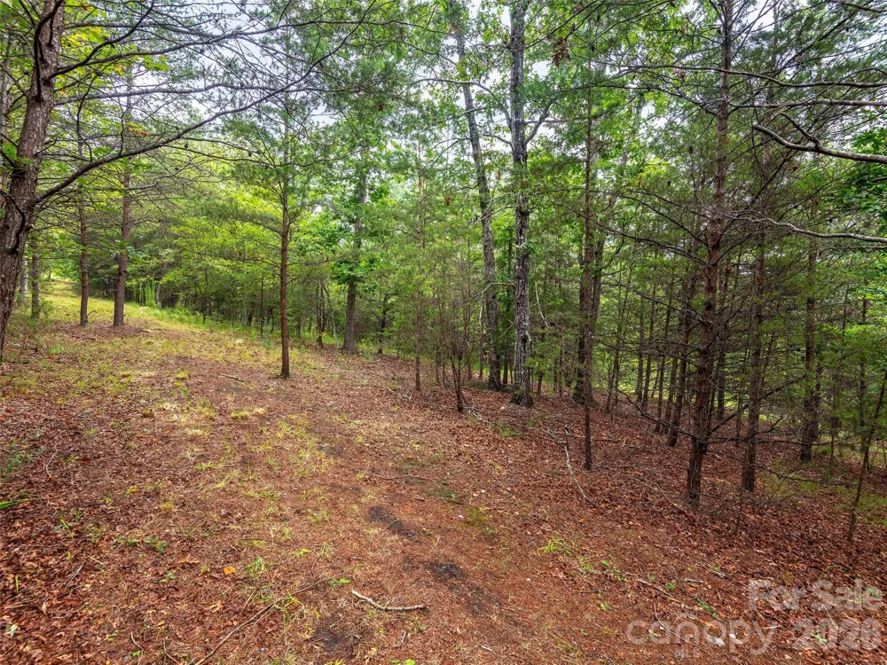 Lot #28 Parkway North Road #28 Mill Spring, NC 28756