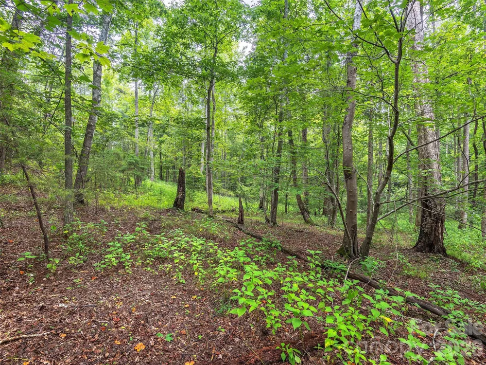 Lot #28 Parkway North Road #28 Mill Spring, NC 28756