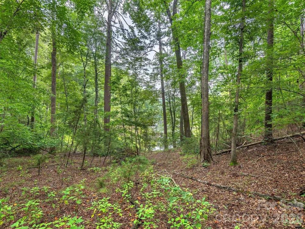 Lot #28 Parkway North Road #28 Mill Spring, NC 28756