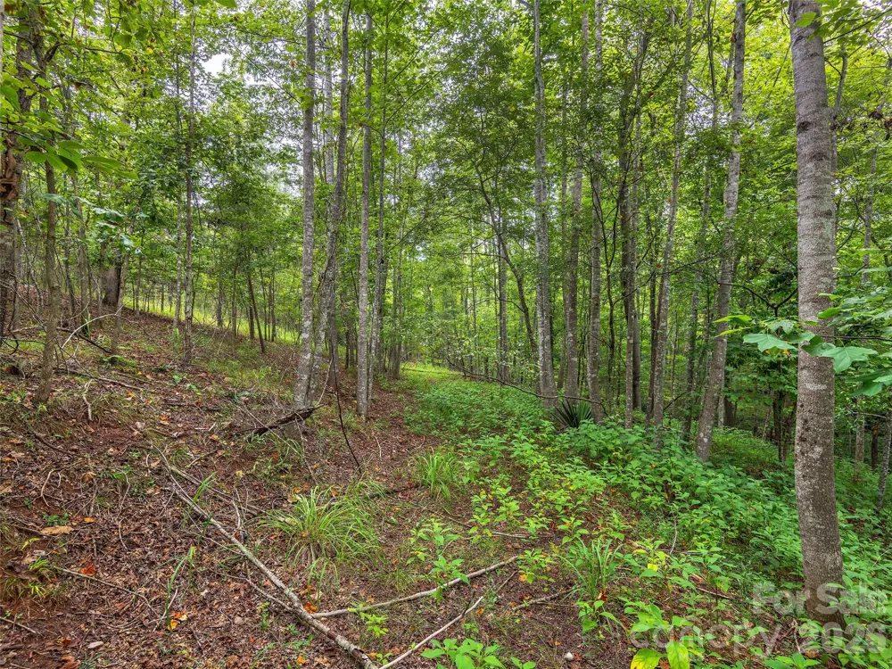 Lot #28 Parkway North Road #28 Mill Spring, NC 28756