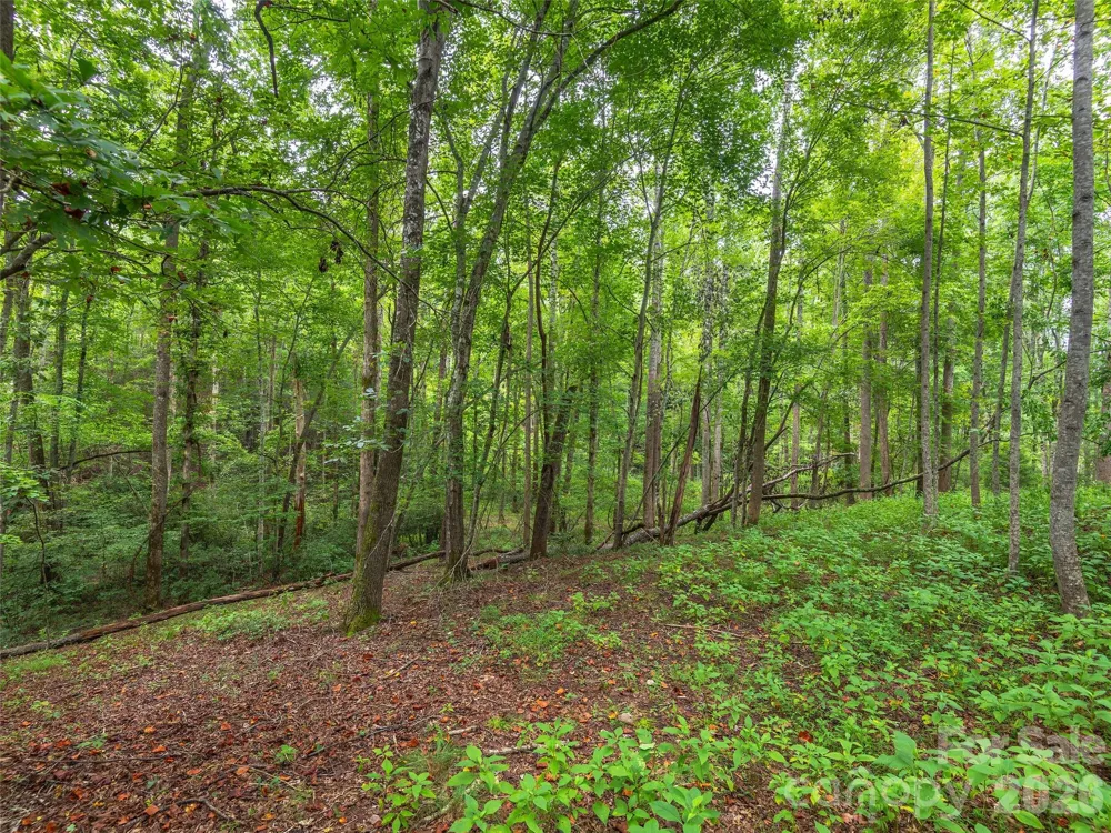 Lot #28 Parkway North Road #28 Mill Spring, NC 28756