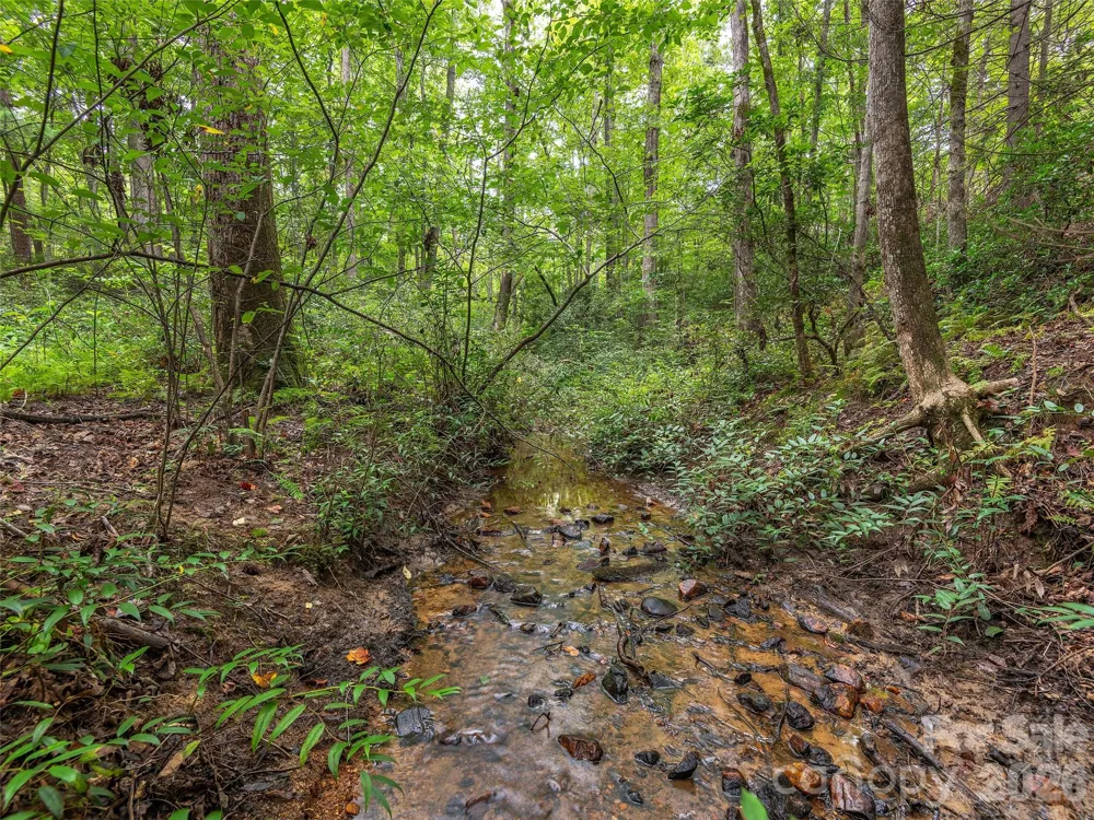 Lot #28 Parkway North Road #28 Mill Spring, NC 28756