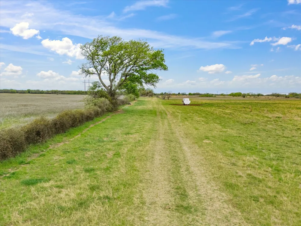 Fm-1655 Chico, TX 76431