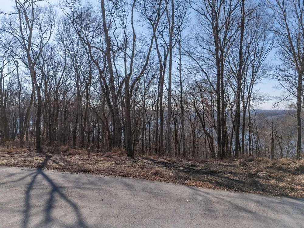 28 Back Ranch Dr Silver Point, TN 38582