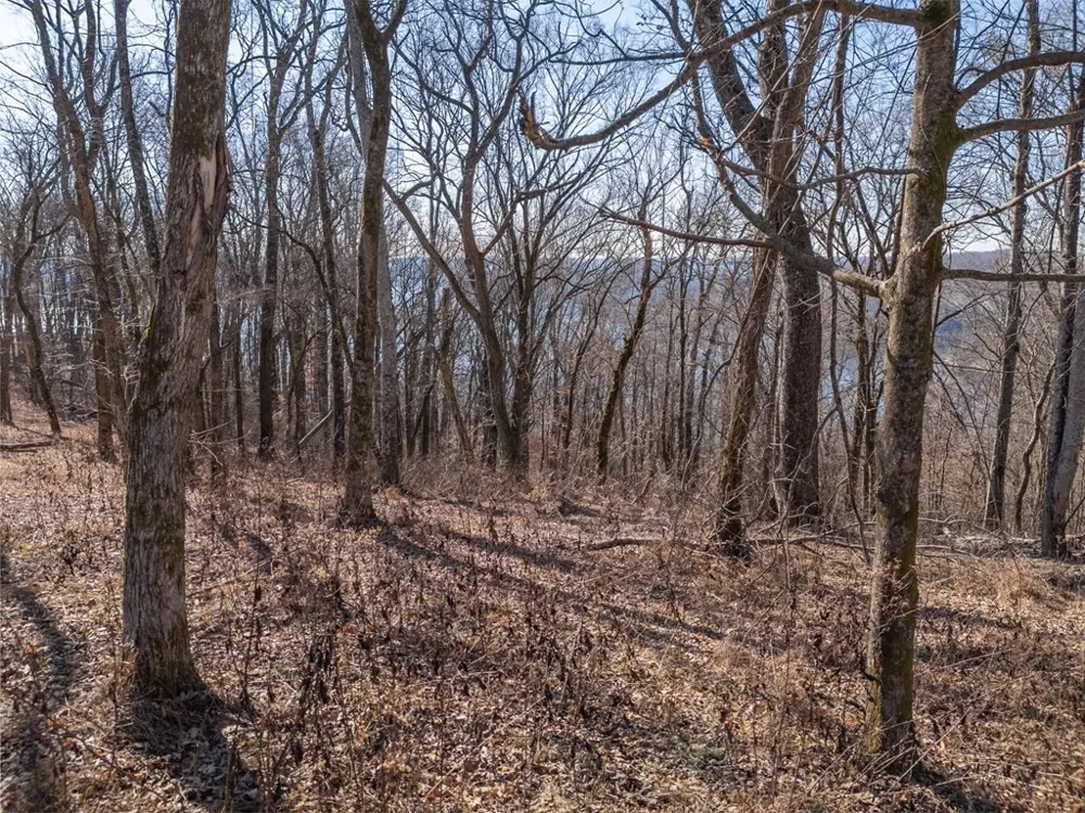 28 Back Ranch Dr Silver Point, TN 38582