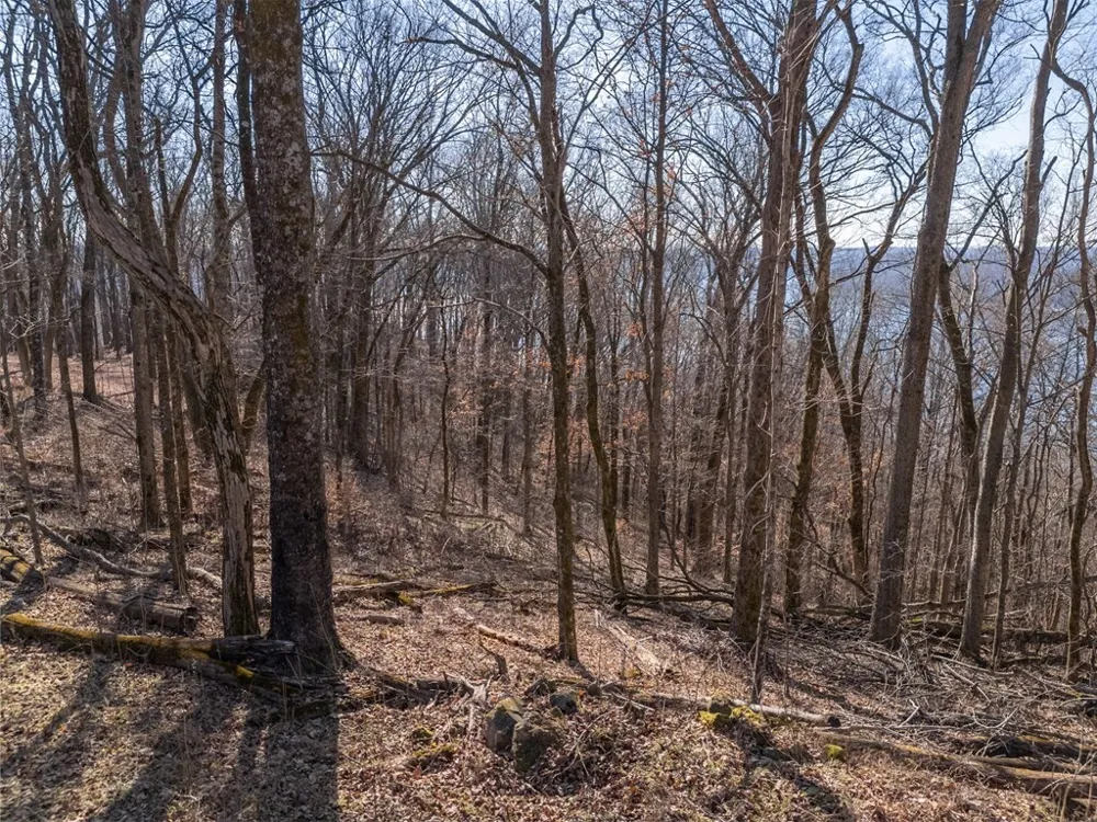 28 Back Ranch Dr Silver Point, TN 38582