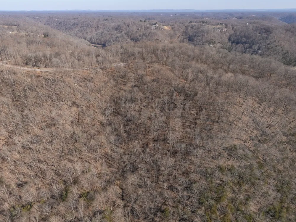 28 Back Ranch Dr Silver Point, TN 38582