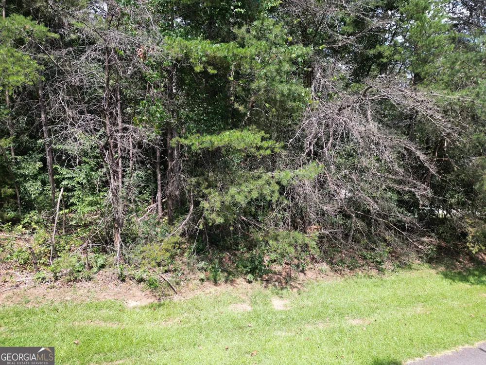LOT 21 Deer Chase RD Toccoa, GA 30577