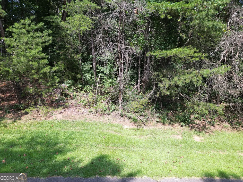 LOT 21 Deer Chase RD Toccoa, GA 30577