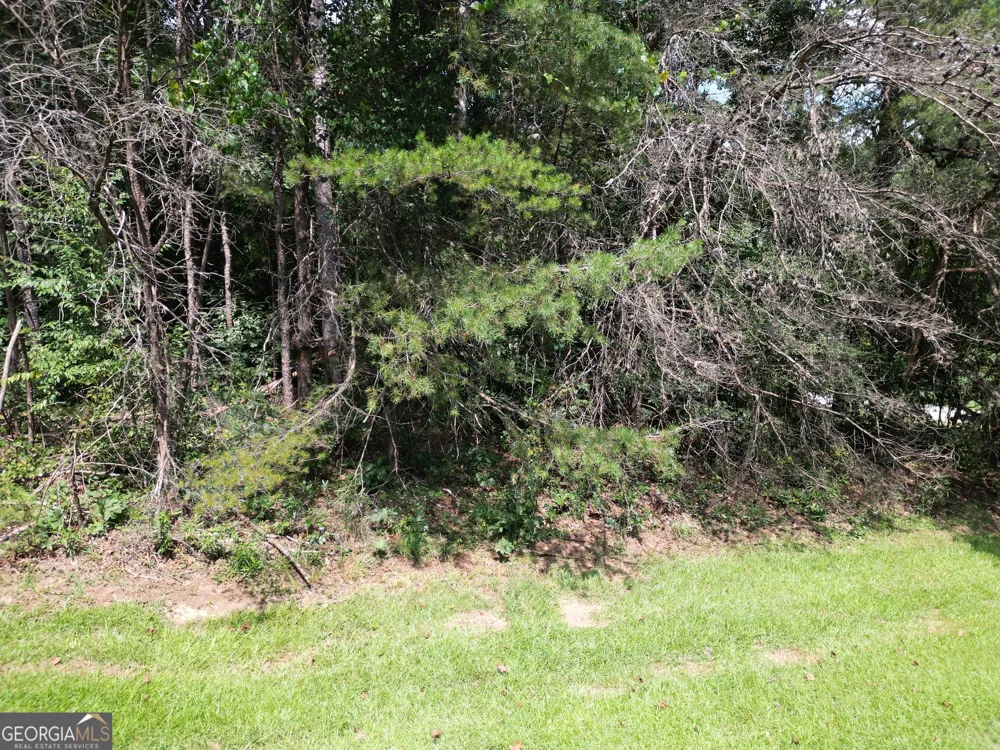 LOT 21 Deer Chase RD Toccoa, GA 30577