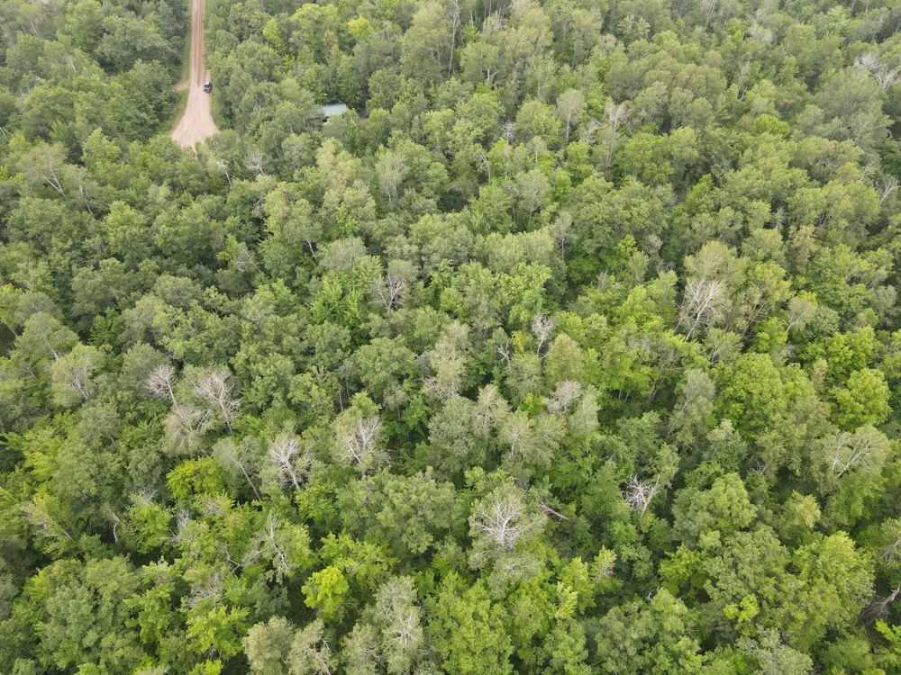 TBD Woodpecker Lane Sandstone, MN 55072