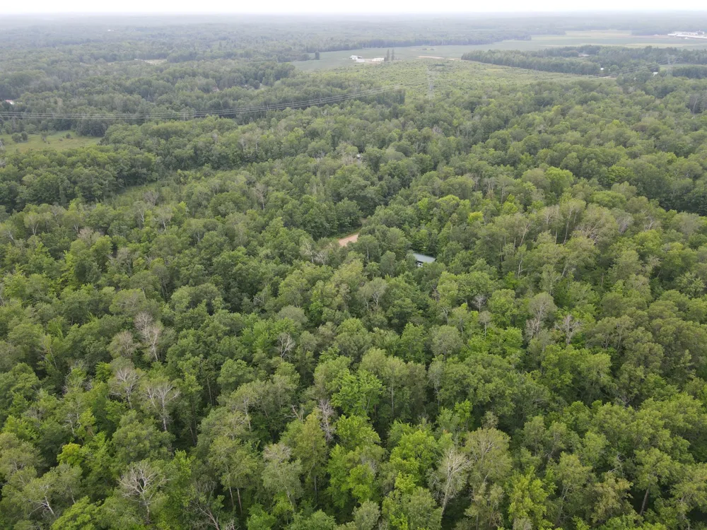 TBD Woodpecker Lane Sandstone, MN 55072