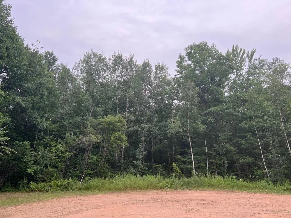 TBD Woodpecker Lane Sandstone, MN 55072