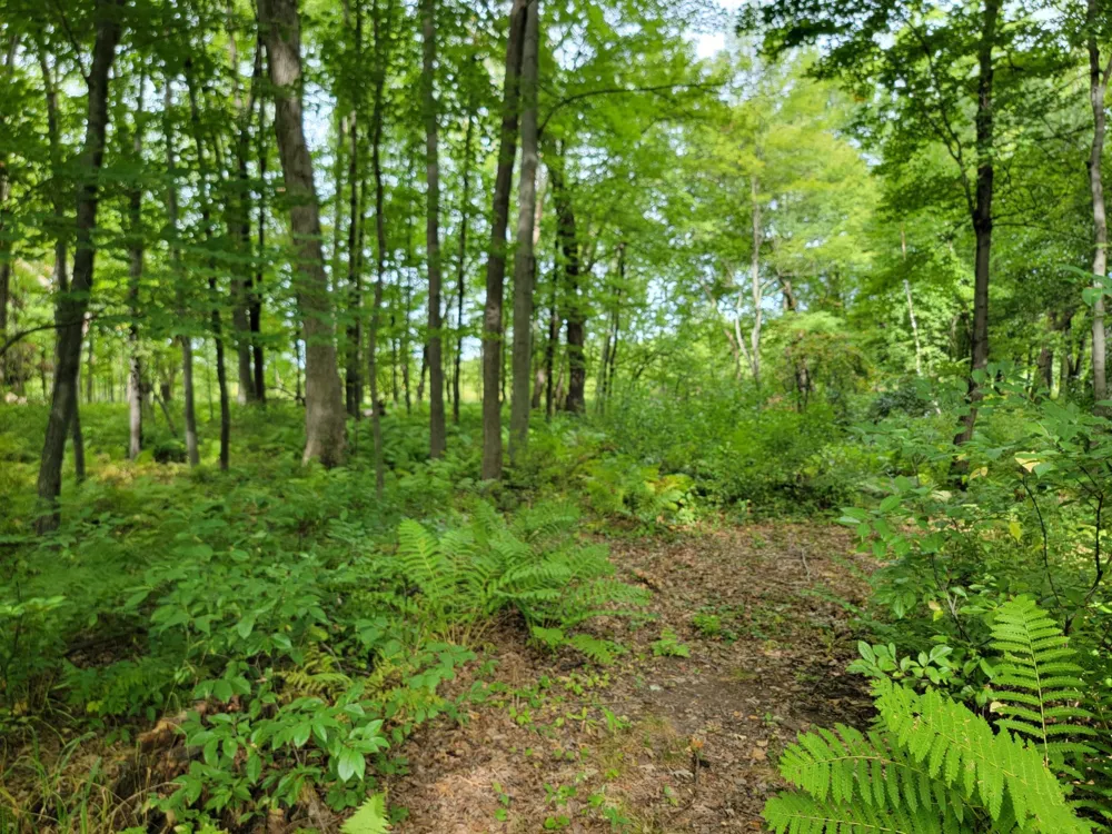 20332 Austin Street NE East Bethel, MN 55011