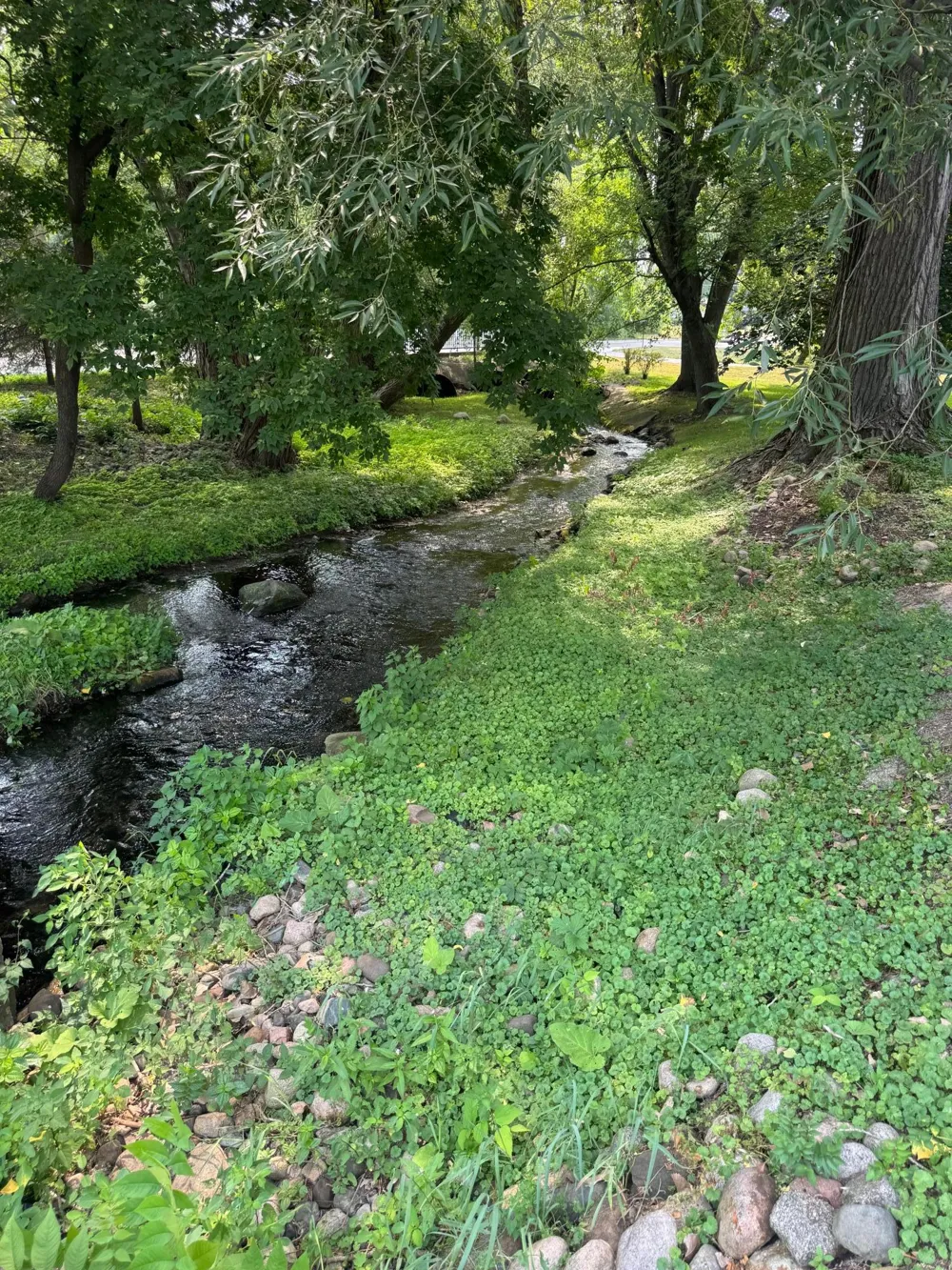 208 2nd Street Cold Spring, MN 56320