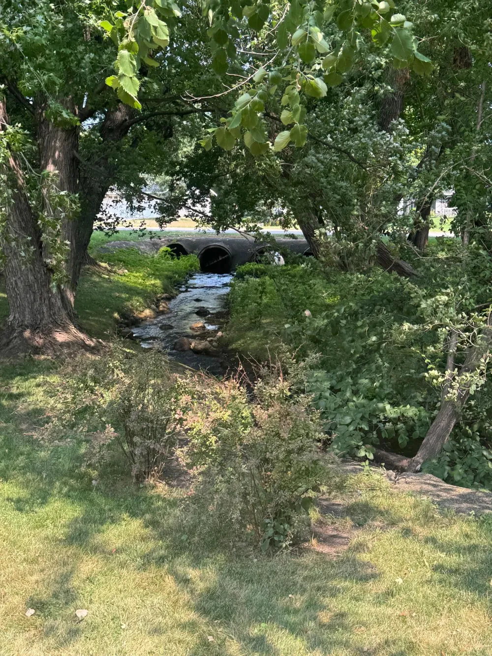 208 2nd Street Cold Spring, MN 56320