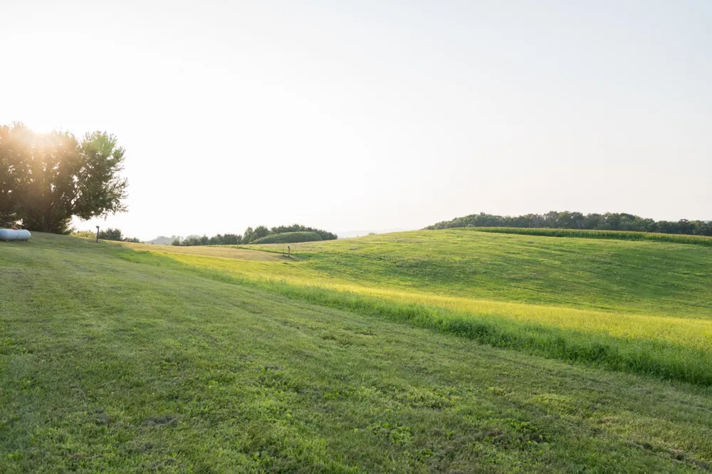 S373 Dammen Road Mondovi, WI 54755
