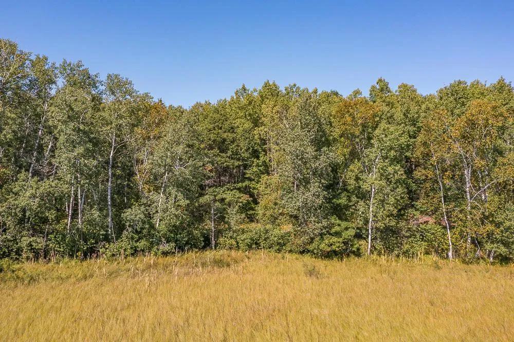 Tract A TBD Little Pine Road Brainerd, MN 56401