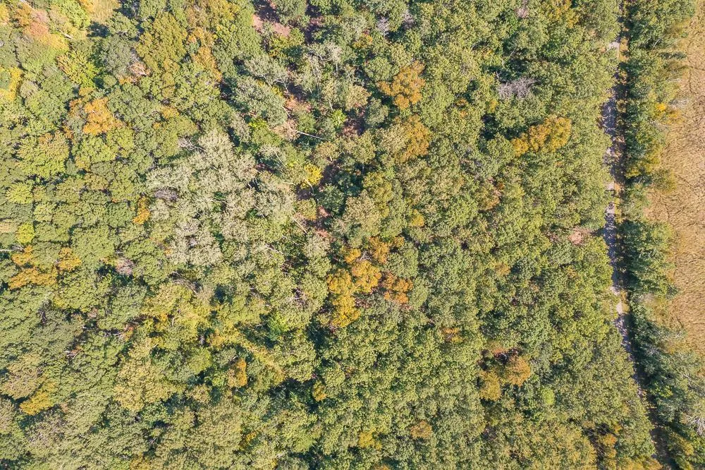 Tract A TBD Little Pine Road Brainerd, MN 56401