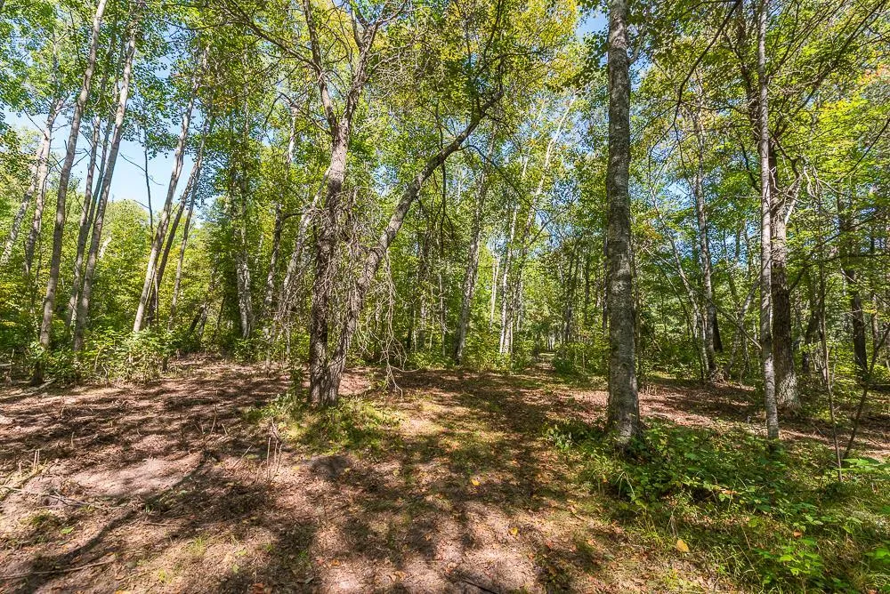 Tract A TBD Little Pine Road Brainerd, MN 56401
