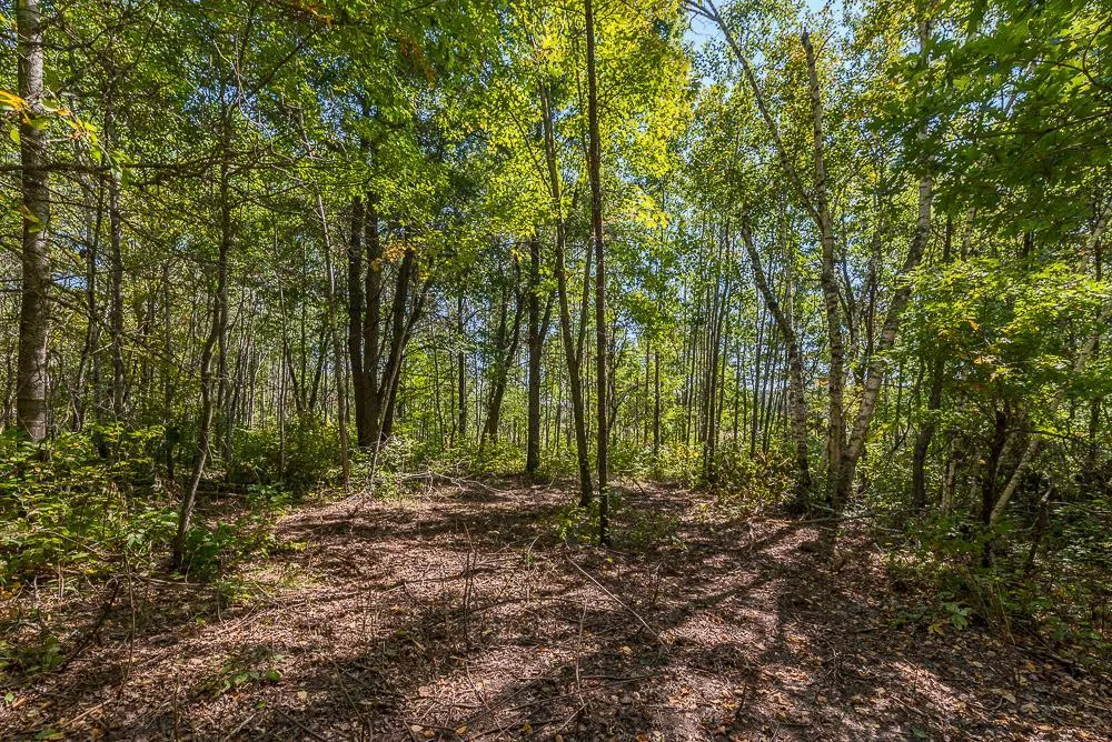 Tract A TBD Little Pine Road Brainerd, MN 56401