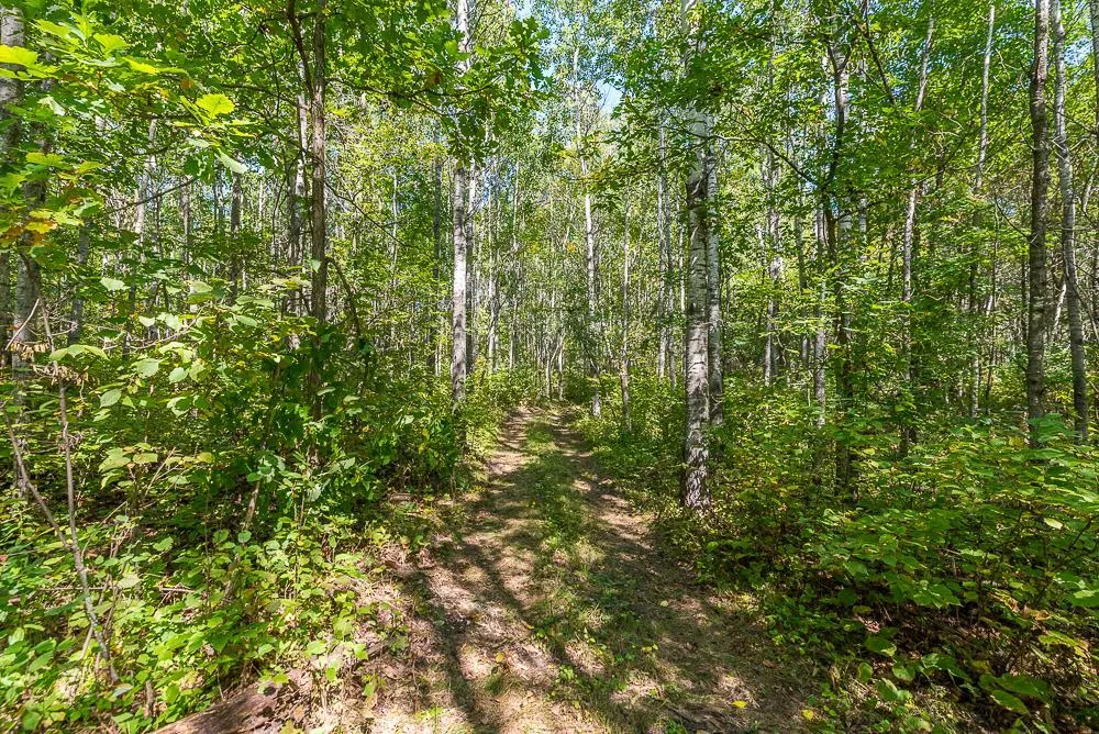 Tract A TBD Little Pine Road Brainerd, MN 56401