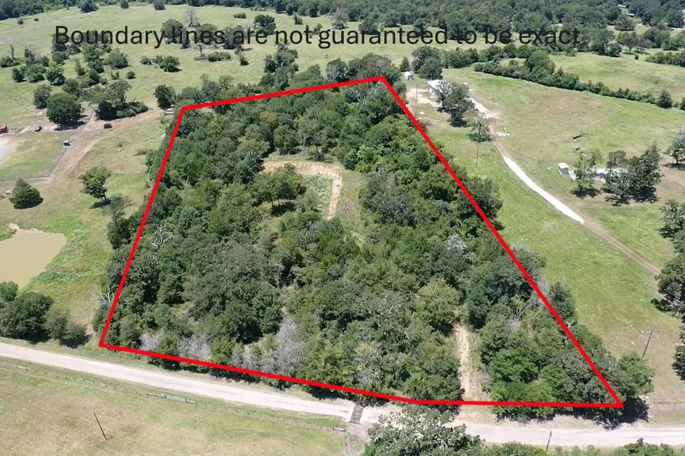 1224 S State Street Madisonville, TX 77864