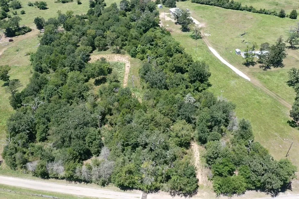 1224 S State Street Madisonville, TX 77864