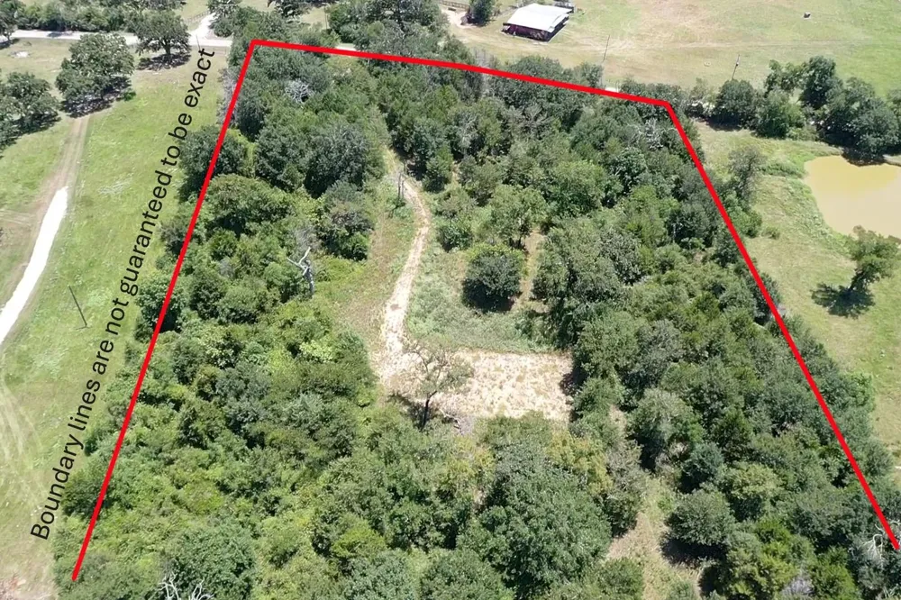 1224 S State Street Madisonville, TX 77864