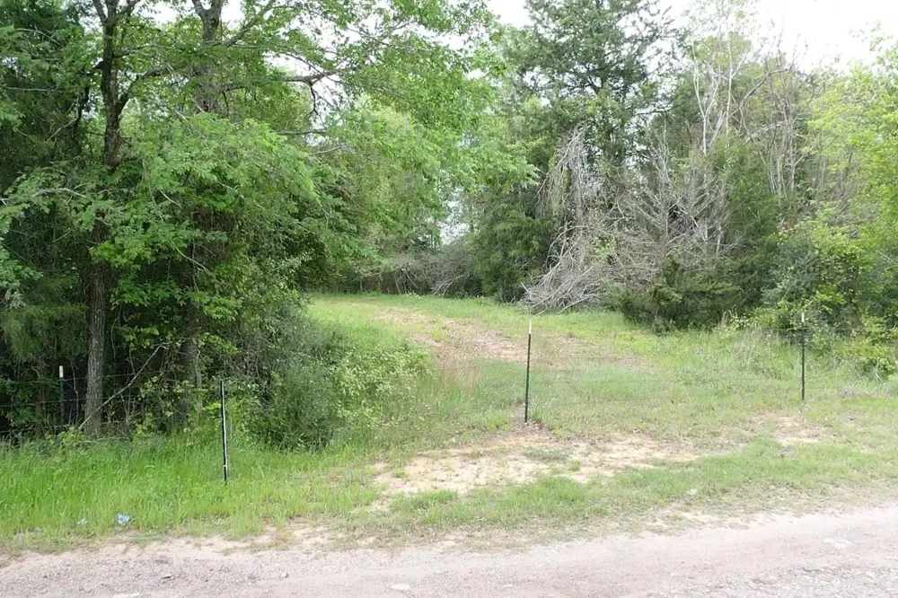 1224 S State Street Madisonville, TX 77864