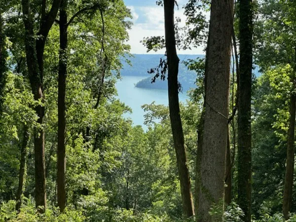 0 Back Ranch Dr Silver Point, TN 38582