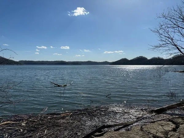 0 Back Ranch Dr Silver Point, TN 38582