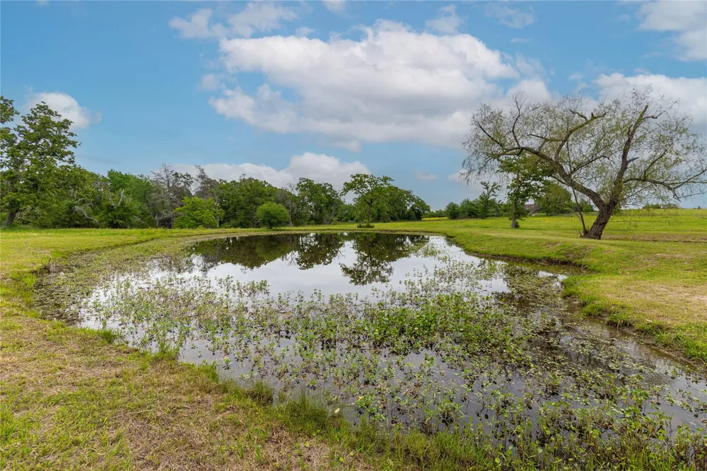 7680 Highway 36 Bellville, TX 77418