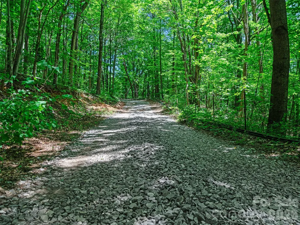 9999 Lovebird Lane #20 Candler, NC 28715