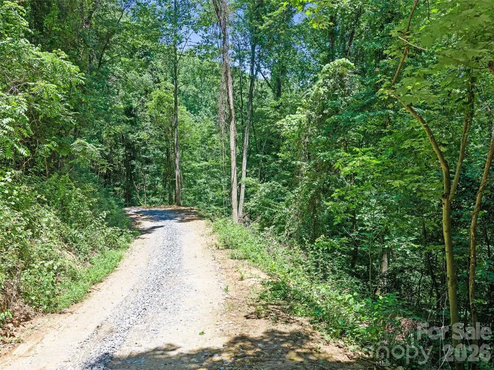 9999 Lovebird Lane #20 Candler, NC 28715