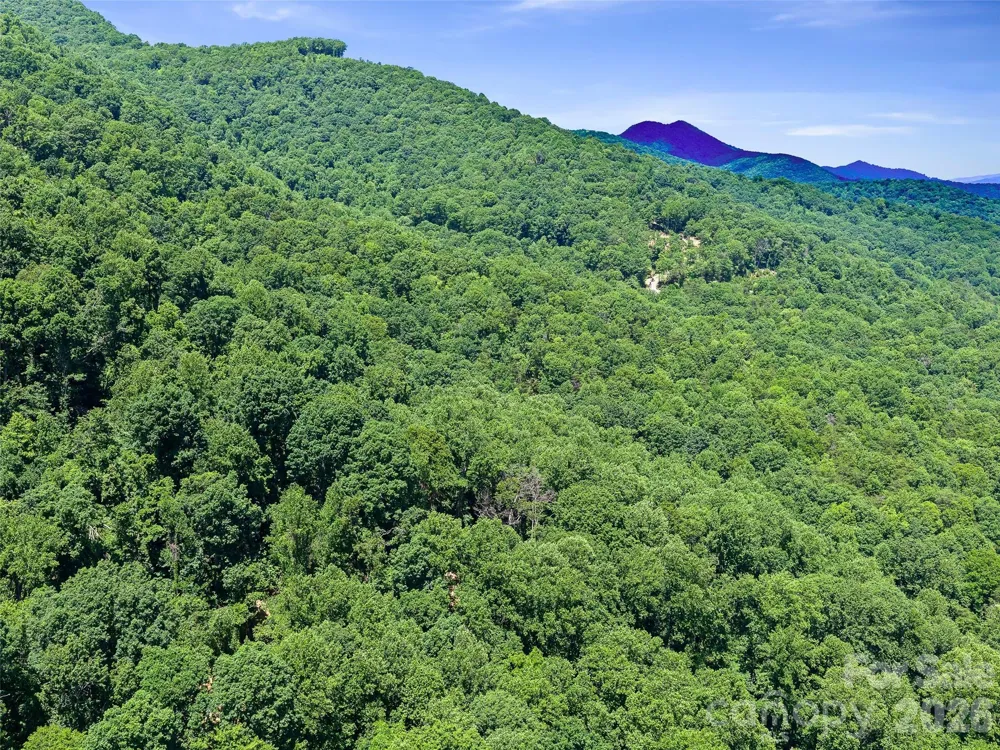 9999 Lovebird Lane #20 Candler, NC 28715