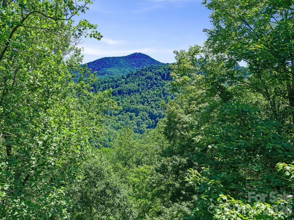 9999 Lovebird Lane #20 Candler, NC 28715
