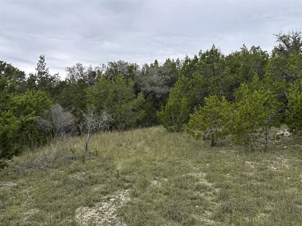Overland Stage Road Dripping Springs, TX 78620