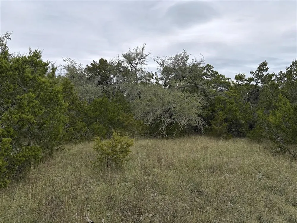 Overland Stage Road Dripping Springs, TX 78620